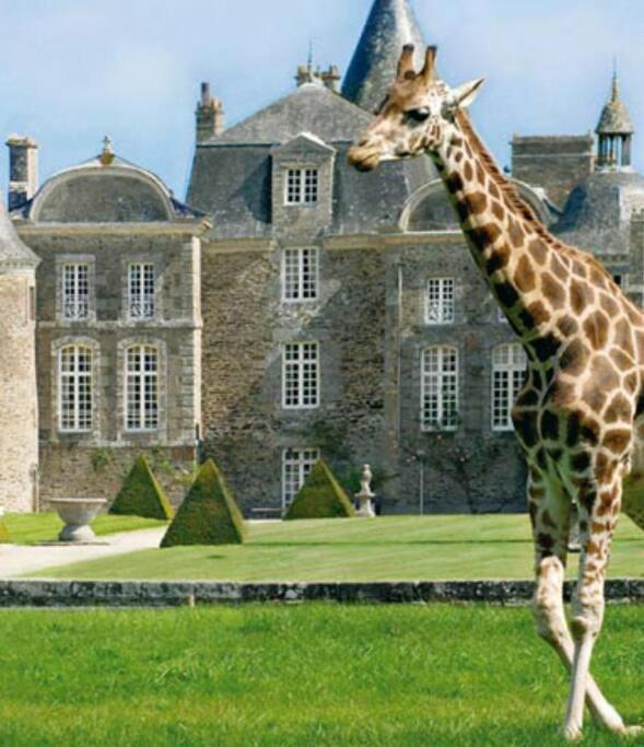 La Baie Du Mont Appartement De Vacances Proche Du Mont Saint Michel Roz-sur-Couesnon Kültér fotó